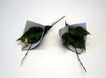 Lederblaetter_ID09005_Foto: I. Michaela
Schneider, www.material-idee.com