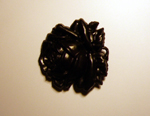 Schliesse-Rose_KSSC005_Foto:www.material-idee.com